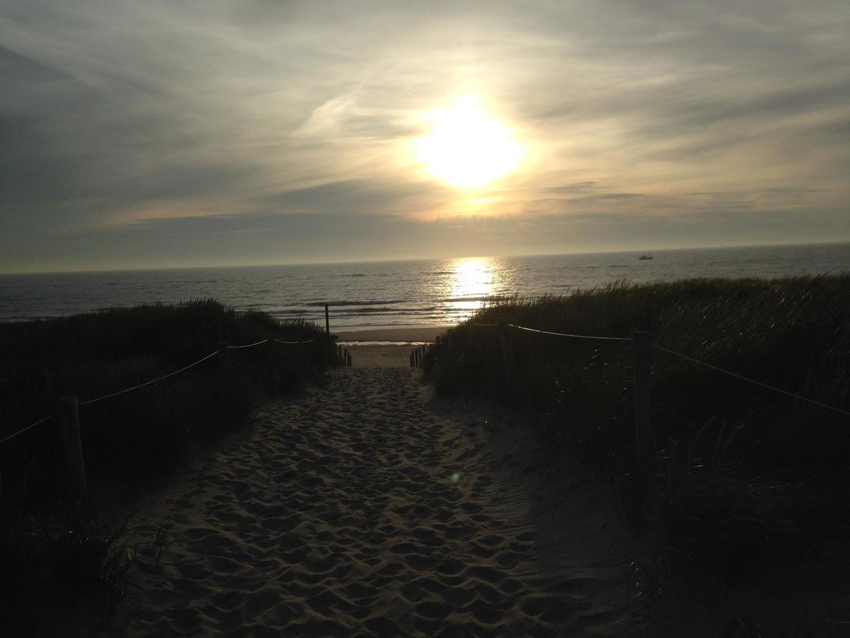 Beachhouses Texel เดอ คุก ภายนอก รูปภาพ
