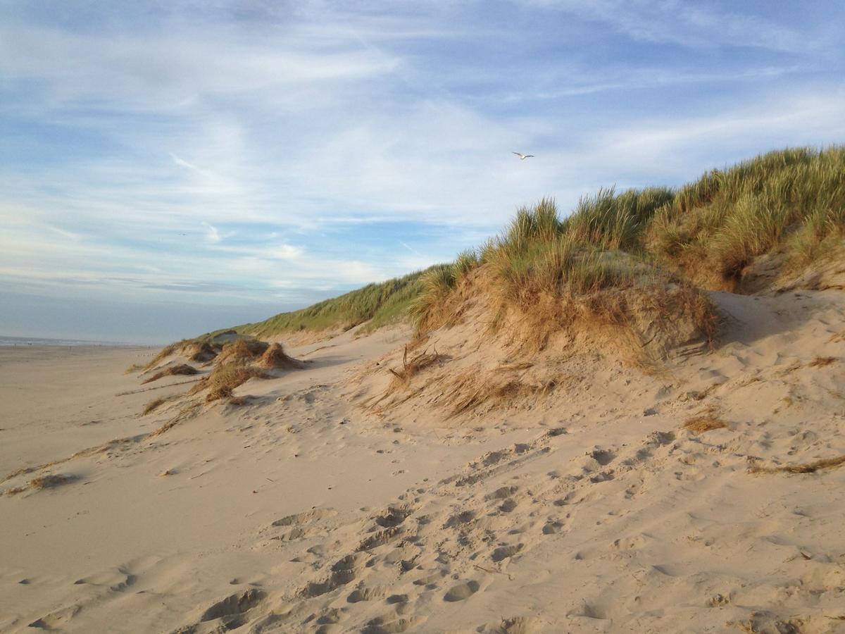 Beachhouses Texel เดอ คุก ภายนอก รูปภาพ